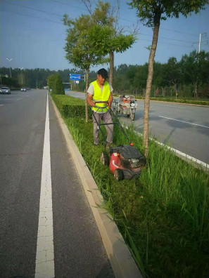 迎賓道養護