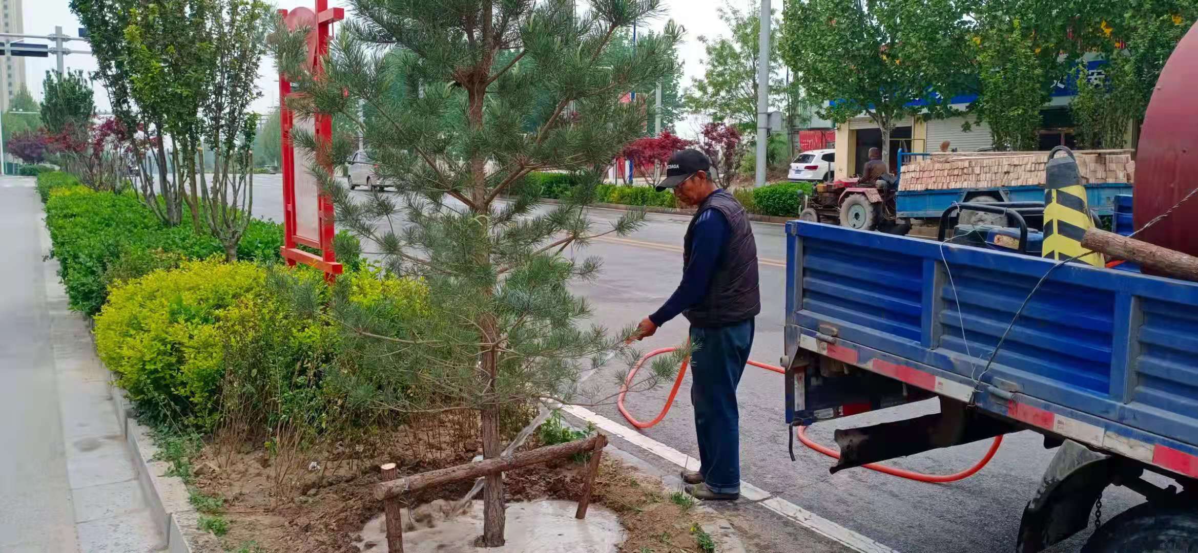 興文西道養護項目